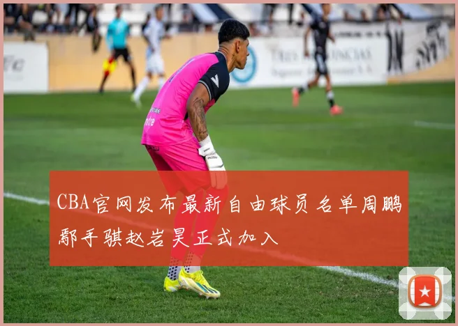 CBA官网发布最新自由球员名单周鹏鄢手骐赵岩昊正式加入